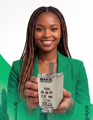 Bakis Engineering 100% Black Women Owned